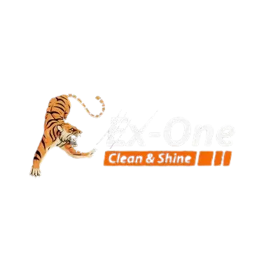 Ex-One